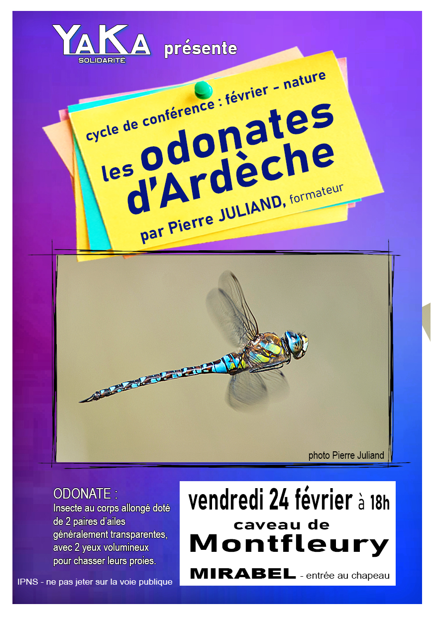 00_Odonates_simple.jpg