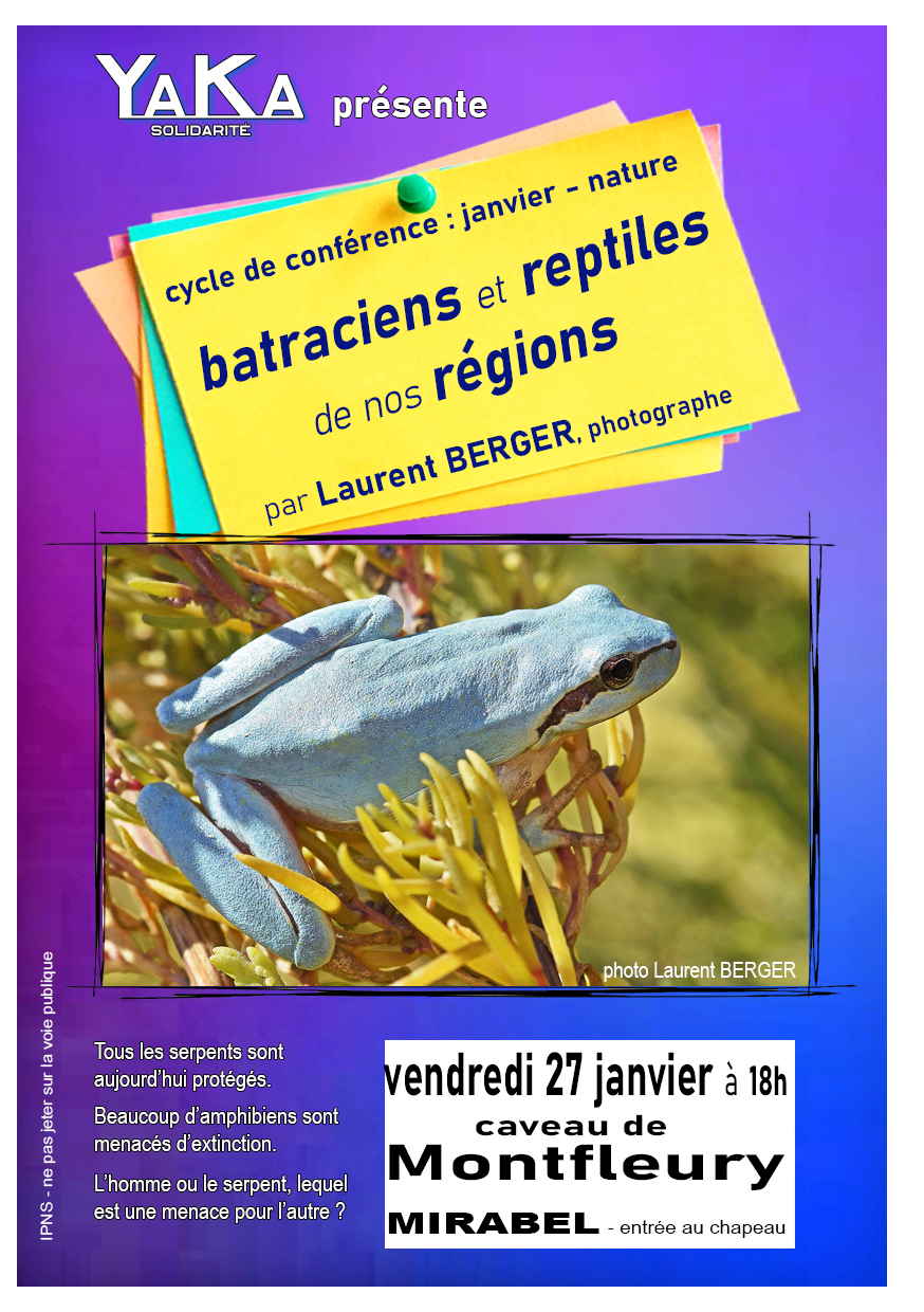 01_Reptiles_avec_bandeau-simple.jpg